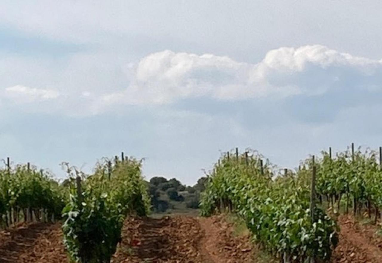 Apartamento Turistico Cerca Aranda De Duero La Ren Lecres Vadocondes Exterior foto